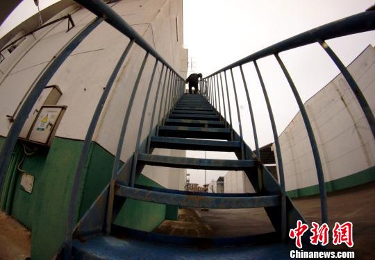 中央儲備糧江西泰和直屬庫有限公司保管員在倉庫巡查?！⊥蹶魂?攝